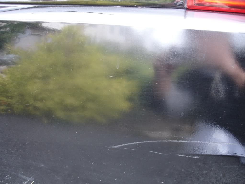 DSC05817.jpg