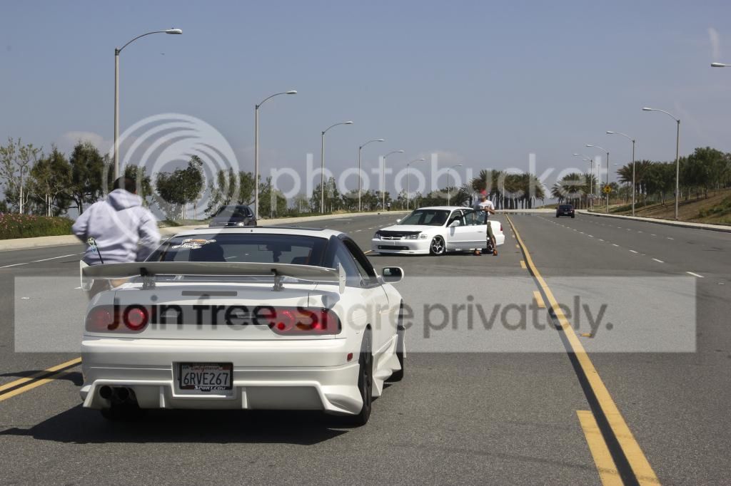 IMG_3100_zps25def20a.jpg