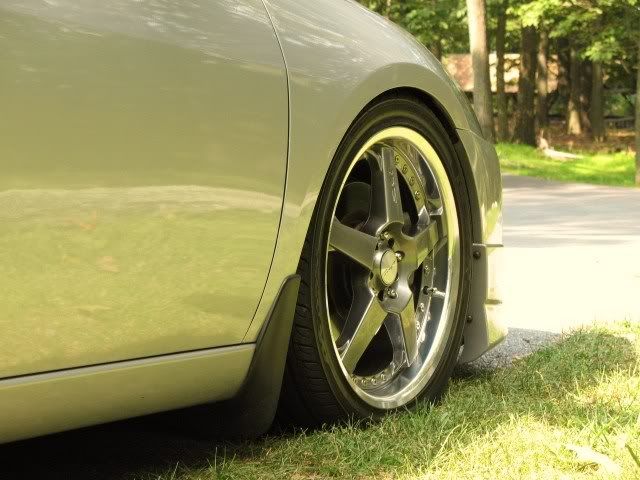 Rim.jpg