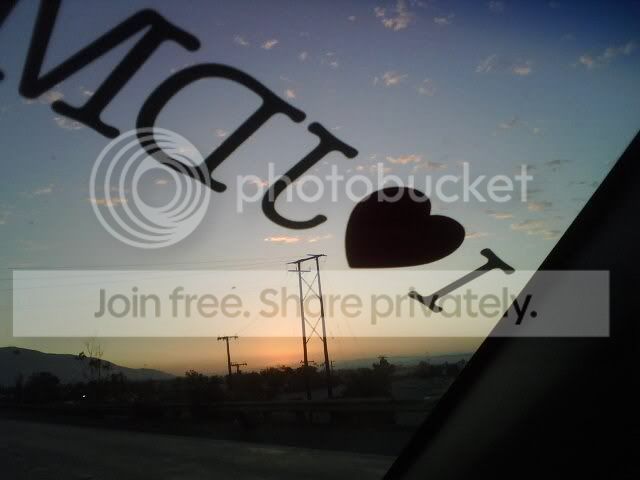 IMG00909.jpg