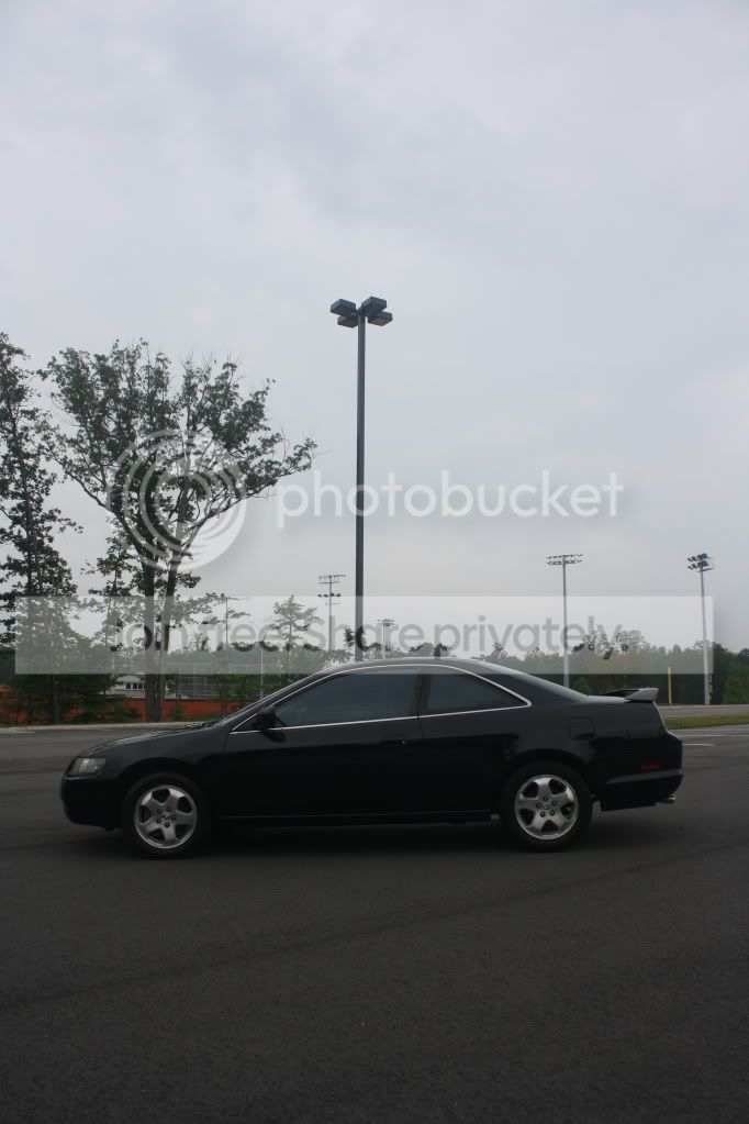 IMG_2781.jpg