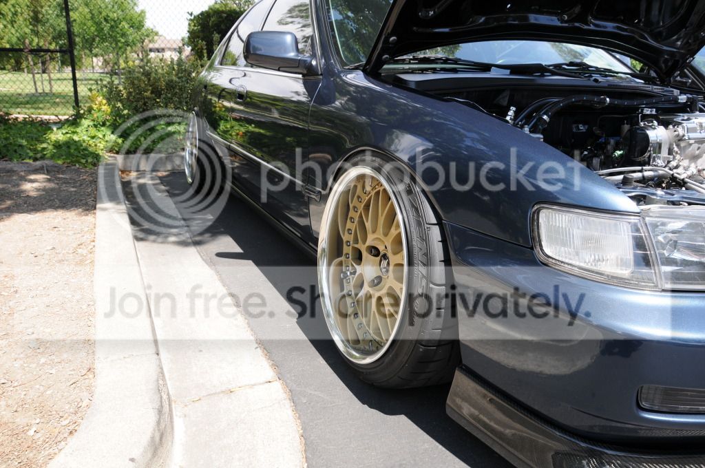 DSC_5101.jpg