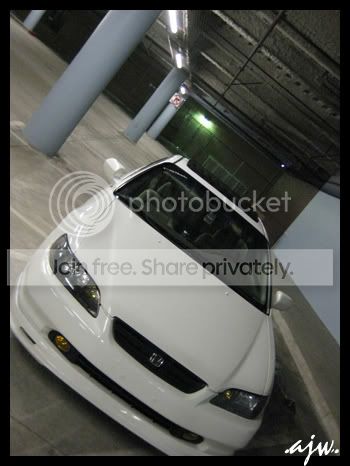 accord8copy.jpg