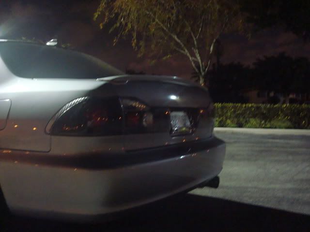 DSC03370.jpg