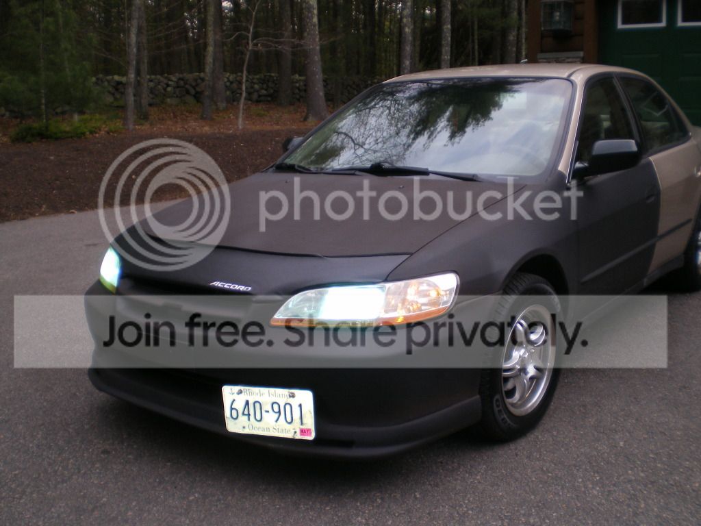 IMGP0207.jpg