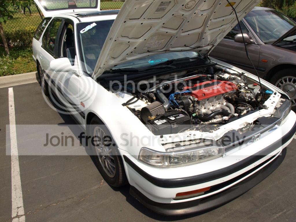P8043978.jpg