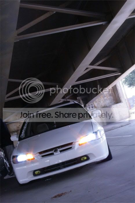 IMG_0859copy.jpg