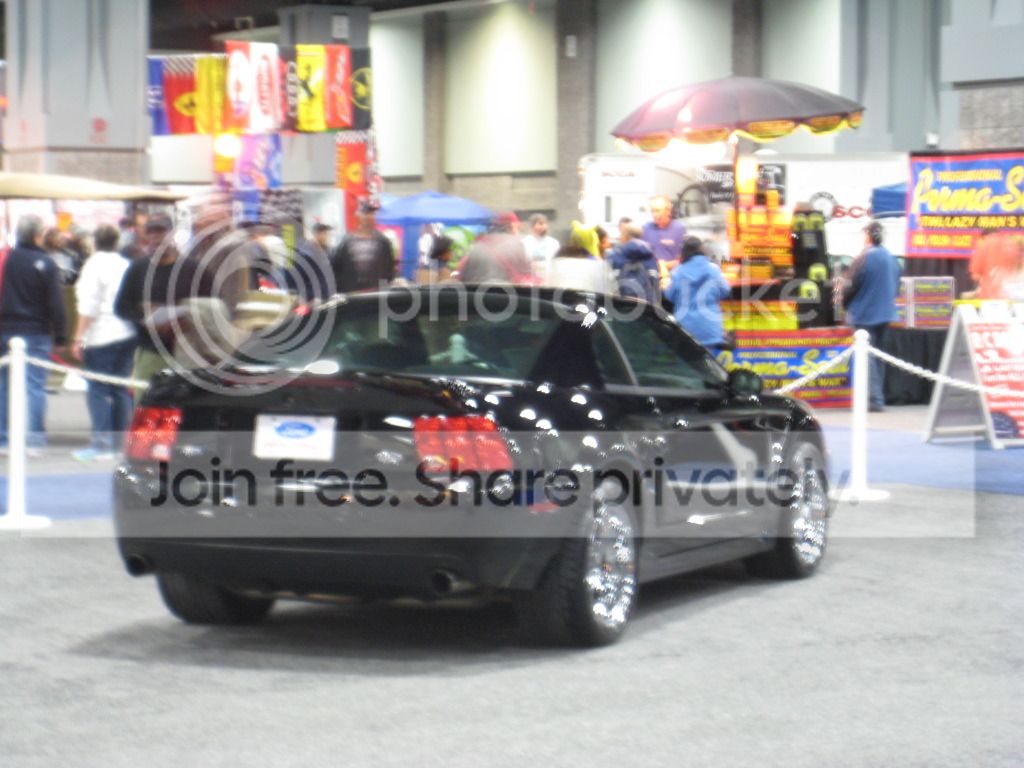 IMG_0461_zpsf265e78f.jpg