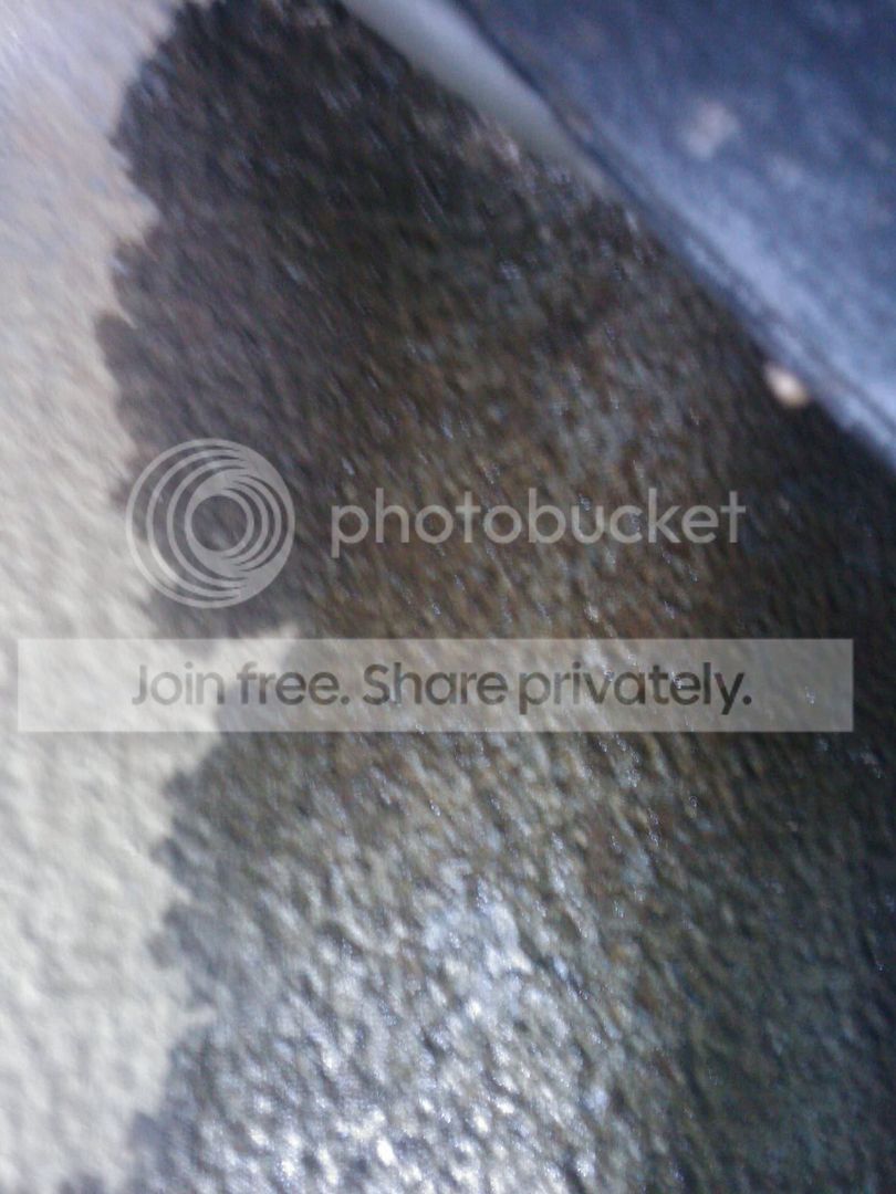 IMAGE_133.jpg