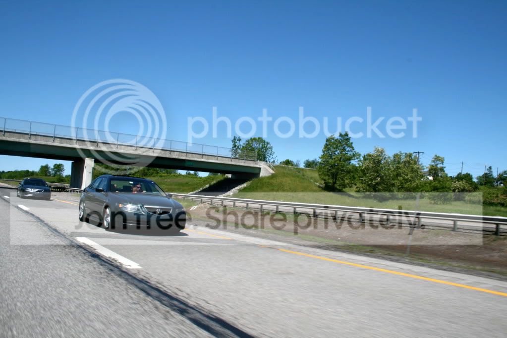 IMG_1339.jpg