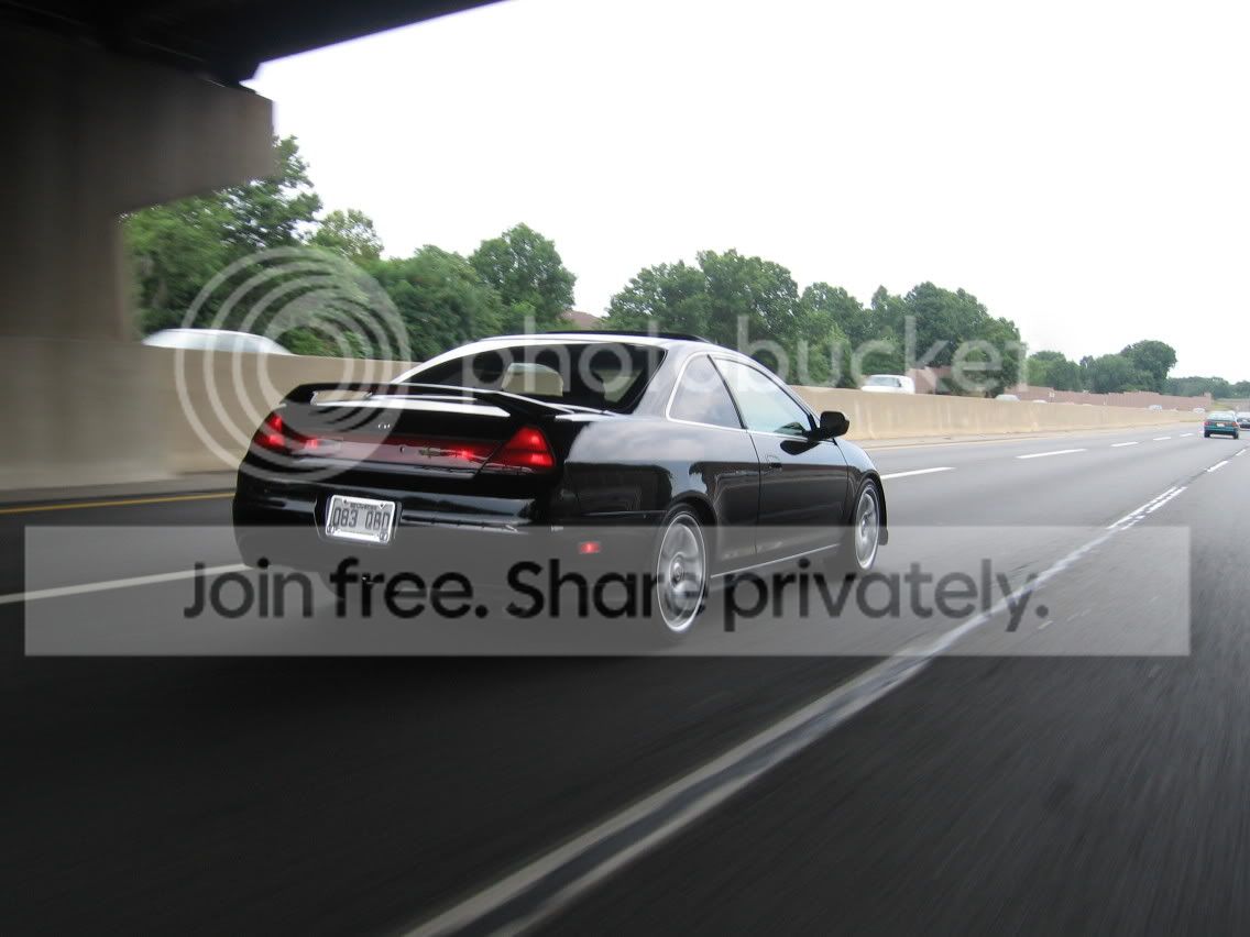 IMG_1113.jpg