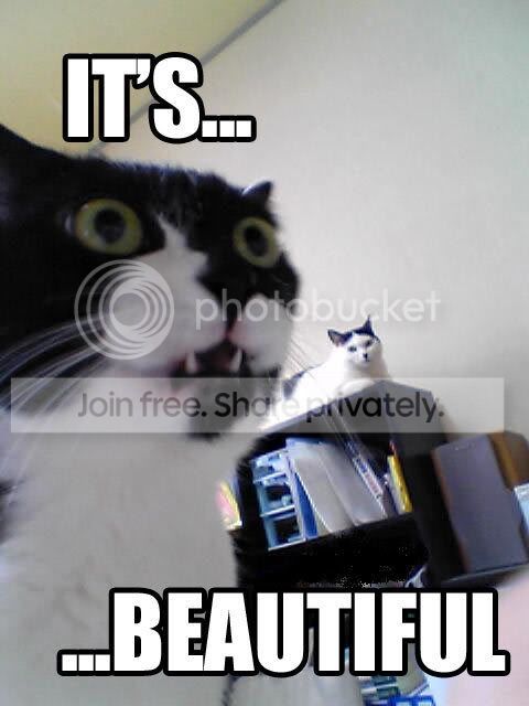 Itsbeautiful.jpg