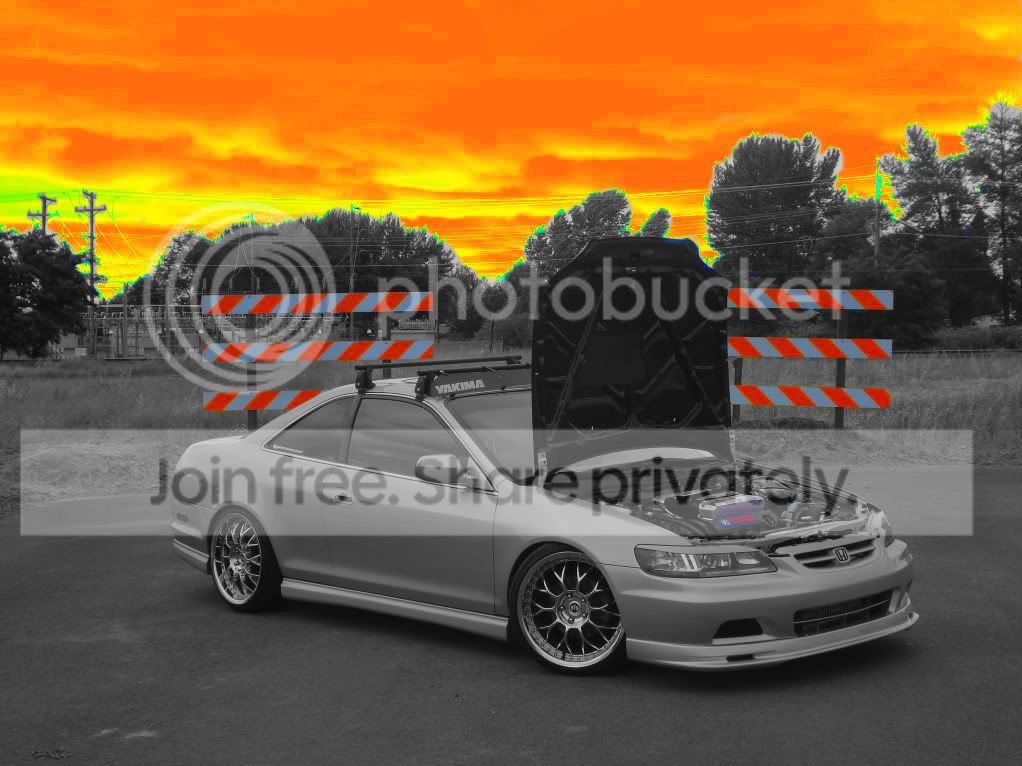 accord267.jpg