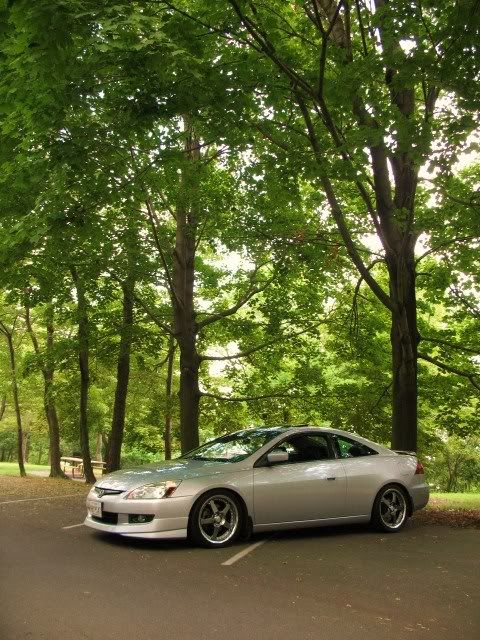 rims2.jpg