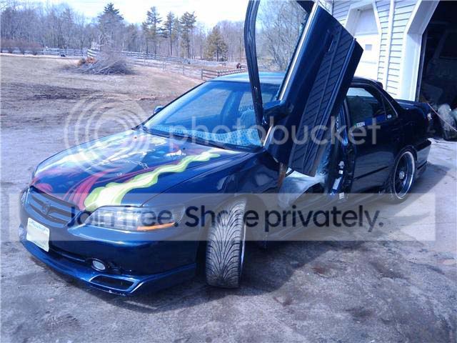 newwhip2.jpg