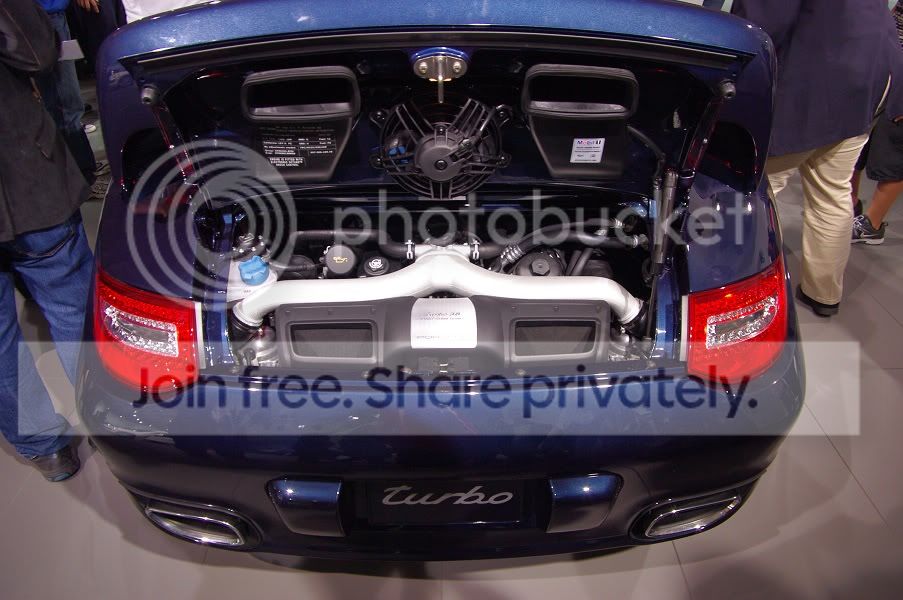 IMGP7056.jpg