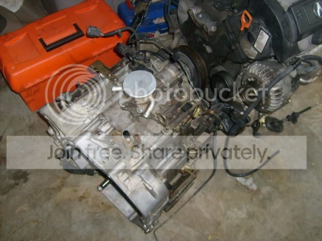 S6301118.jpg