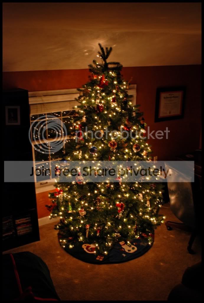 Lights003a.jpg