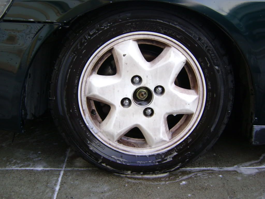 DSC01050.jpg