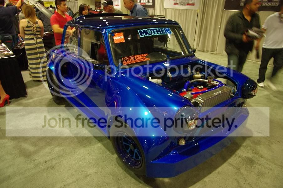 IMGP7097.jpg