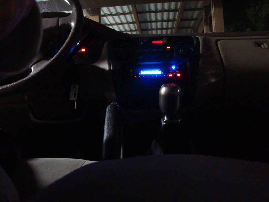 DSC02061.jpg