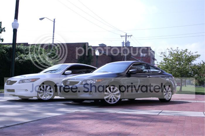 IMG_0736copy.jpg