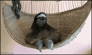 Sloth_chillin.gif