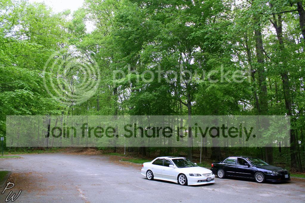 IMG_0265.jpg