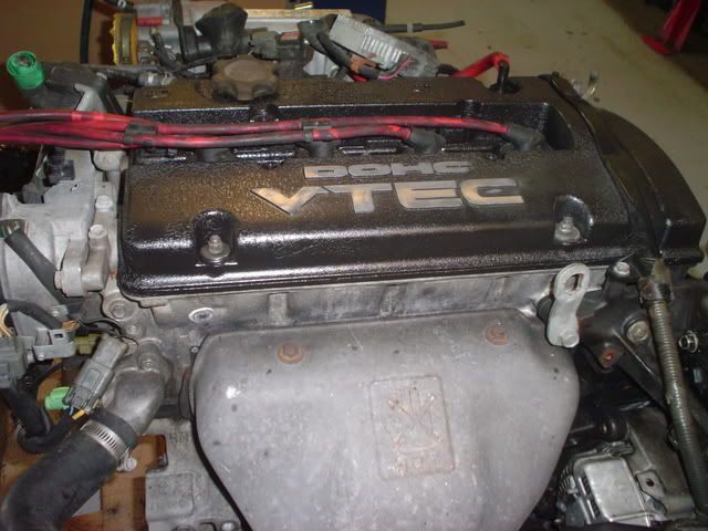 DSC00361.jpg