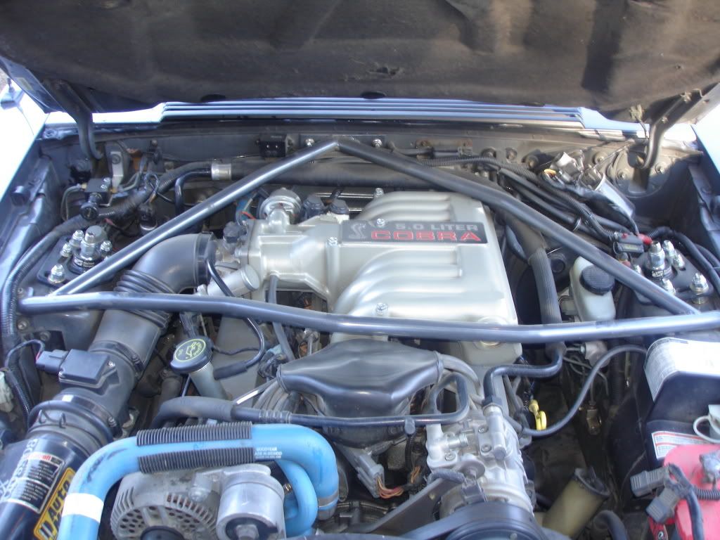 DSC06778.jpg