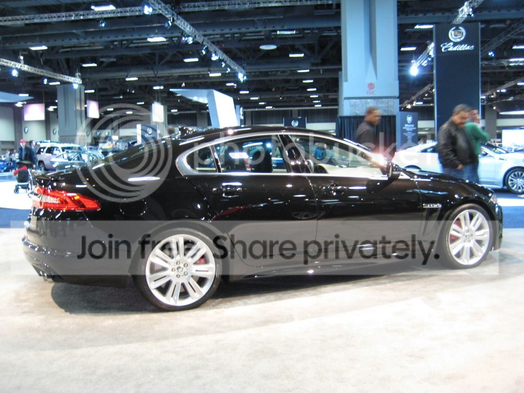 IMG_0342_zps152245db.jpg
