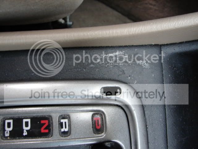 mypics003.jpg