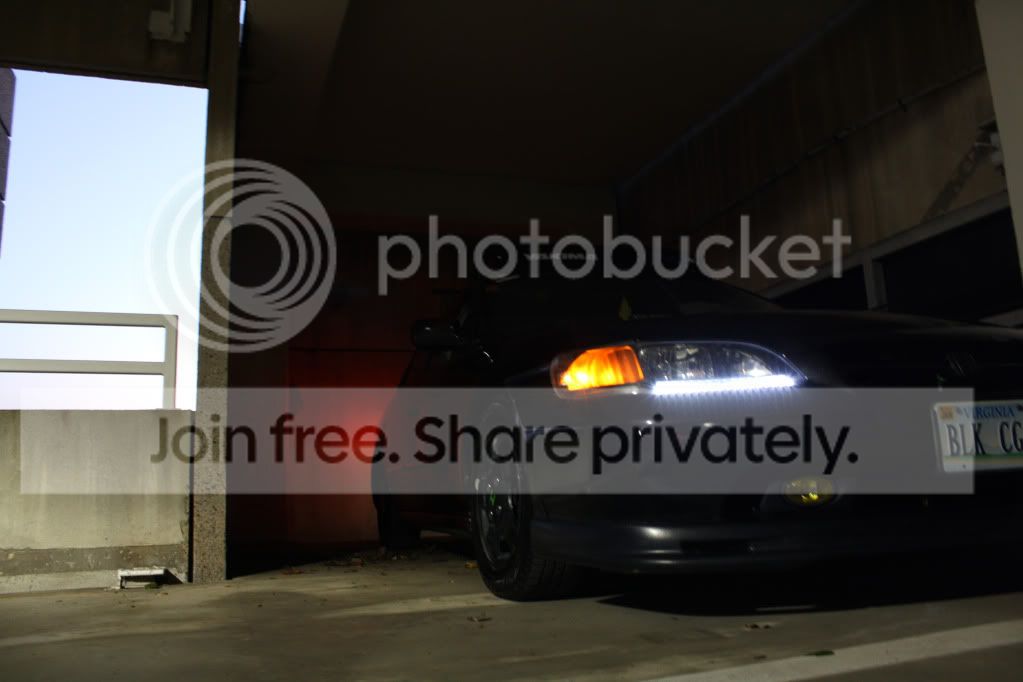 IMG_4696copy.jpg