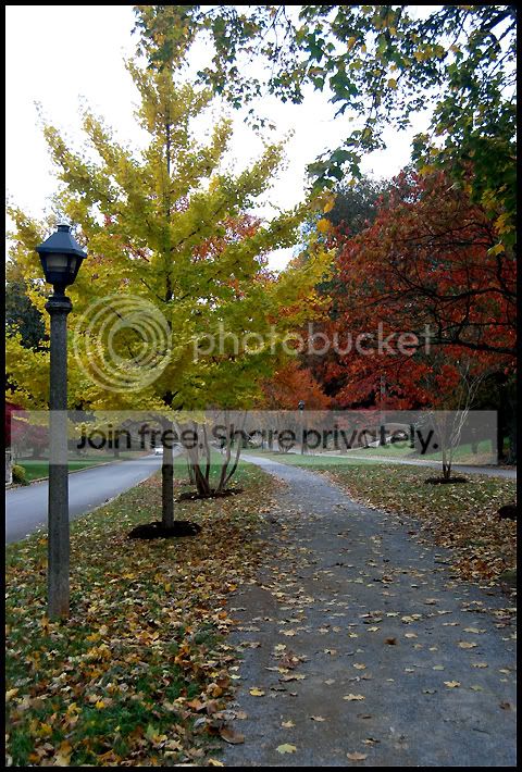 Fall024a.jpg