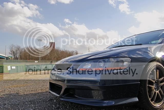 DSC_1264edit.jpg
