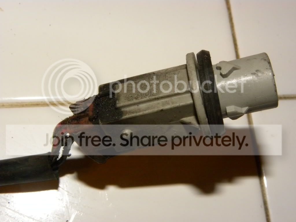 DSCN9726.jpg