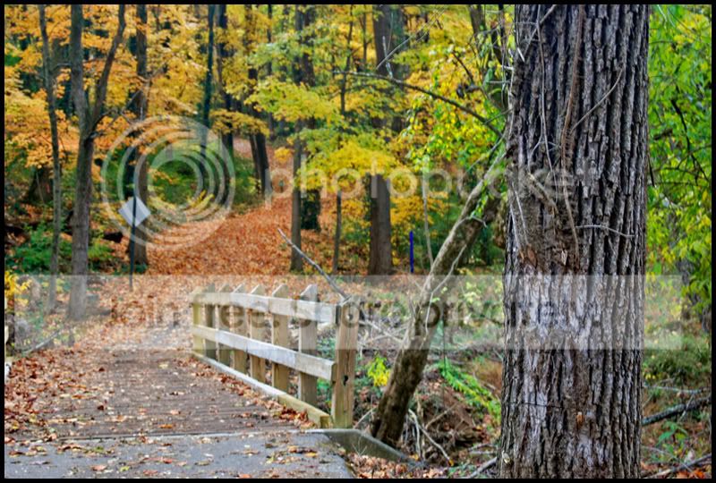 Fall009a.jpg