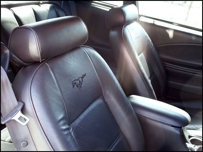 frontseats.jpg