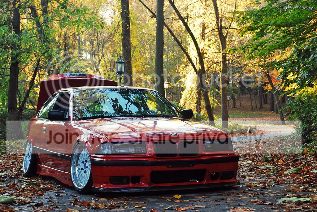 bimmerindriveway.jpg