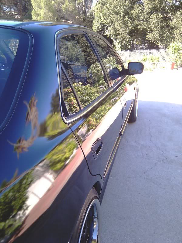 IMAG0506.jpg