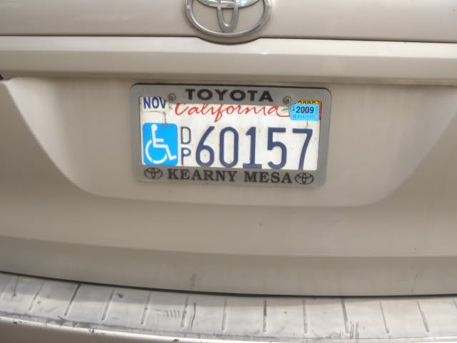 DSC08244.jpg