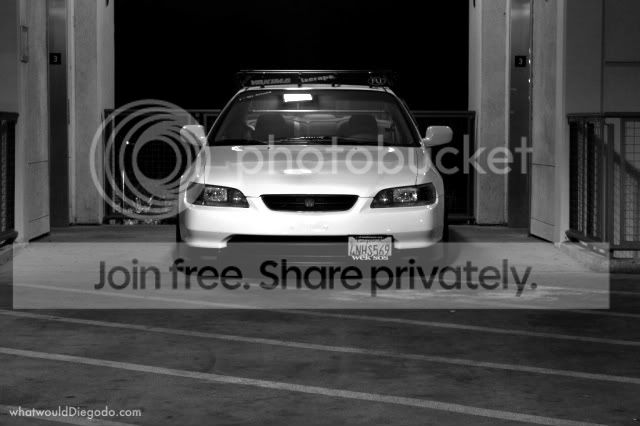 mg_8113-copy.jpg
