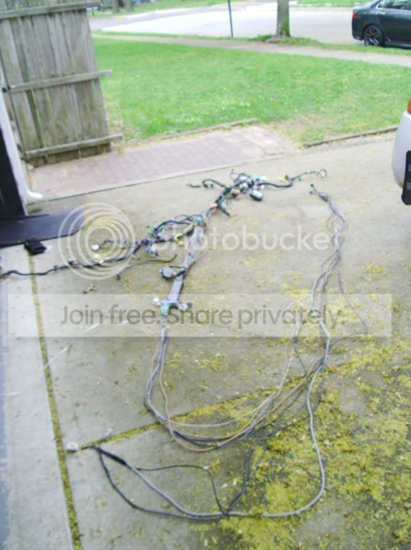 PICT0088.jpg