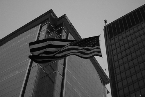 3149467008_b03b5a686e.jpg