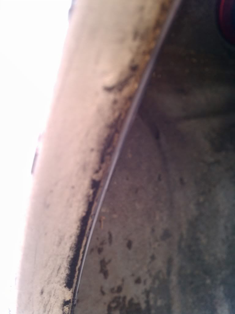 IMG_20111102_115545.jpg