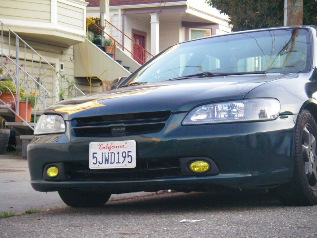 lilstinking2_0014.jpg