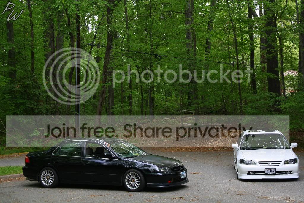 IMG_0281.jpg