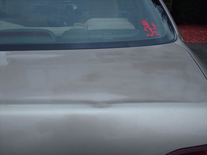 PICT0729.jpg