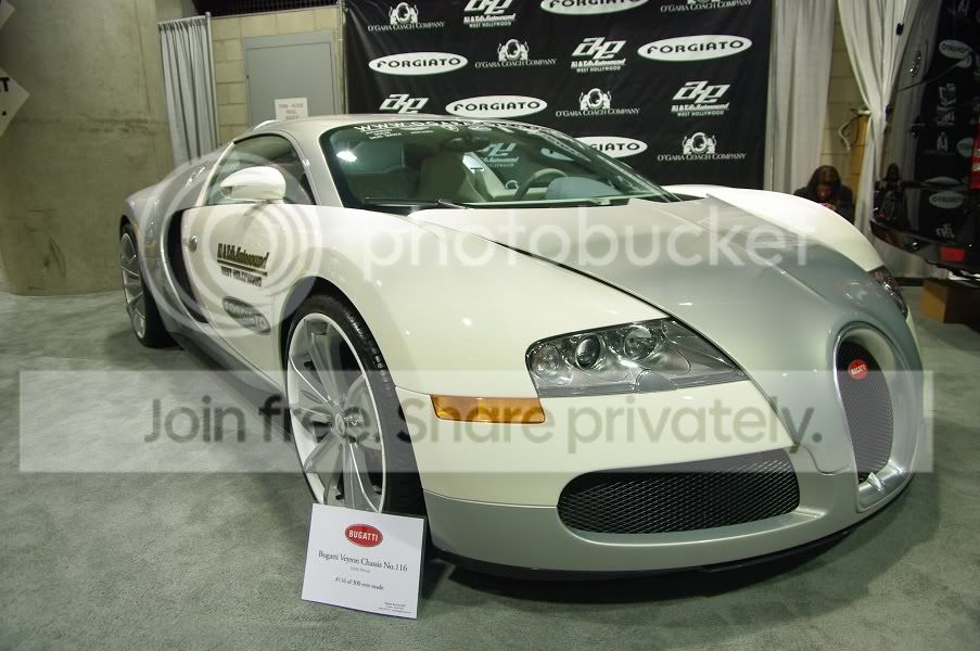 IMGP7081.jpg