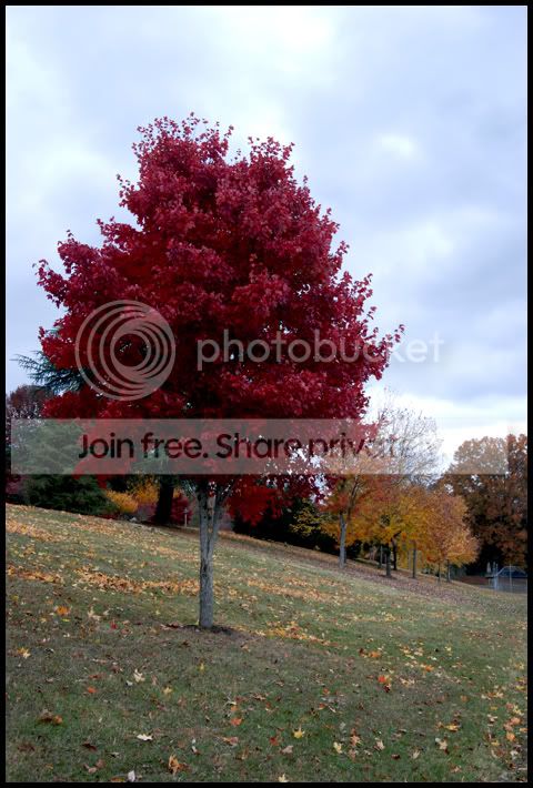 Fall035a.jpg